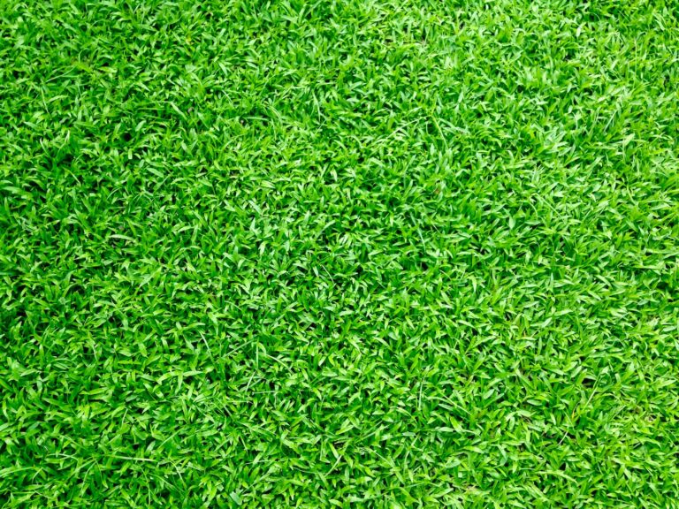 Artificial grass