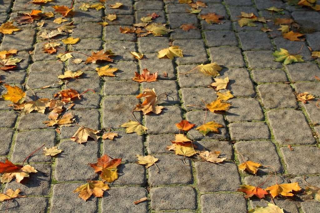 walkway, pavers, pavement, leaves, autumn, surface, pattern, invoice, stones, texture, tempered, city, pavers, pavers, pavers, pavers, pavers